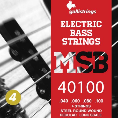 Струны для бас гитары Galli Strings MSB40100