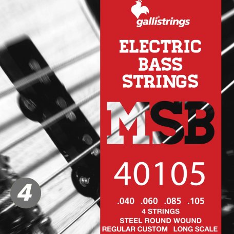 Струны для бас гитары Galli Strings MSB40105