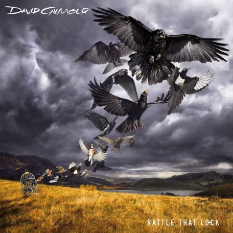 Виниловая пластинка David Gilmour RATTLE THAT LOCK (180 Gram)
