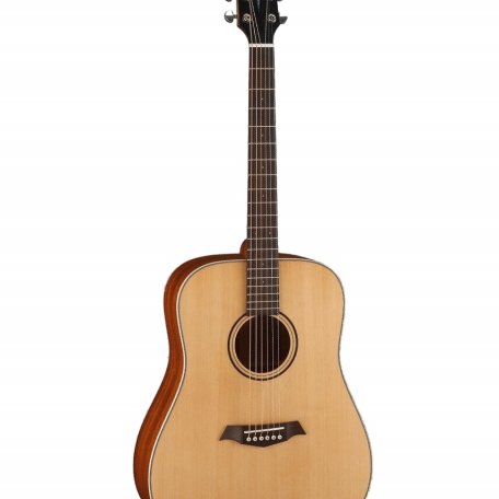 Акустическая гитара Parkwood S21-GT (чехол в комплекте)