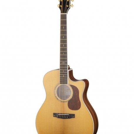 Электроакустическая гитара Cort Gold-A8-WCASE-NAT