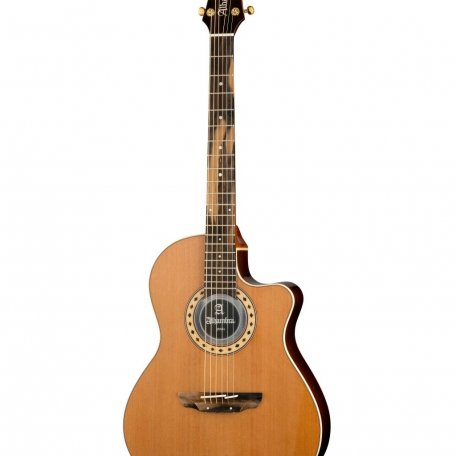 Электроакустическая гитара Alhambra 8.779V