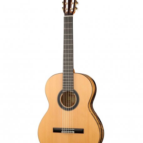 Классическая гитара Alhambra 8.891V