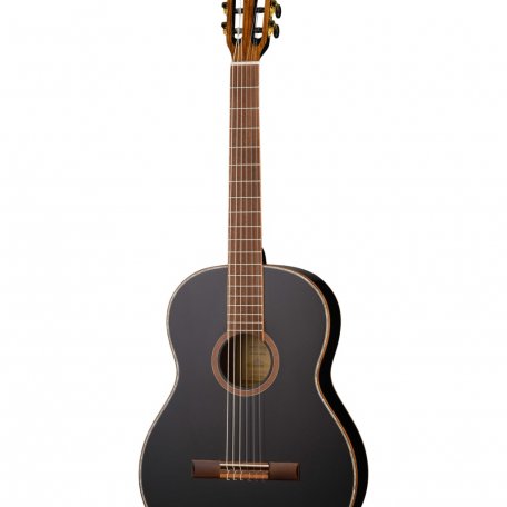 Классическая гитара Ortega R221SNBK Family Series (чехол в комплекте)