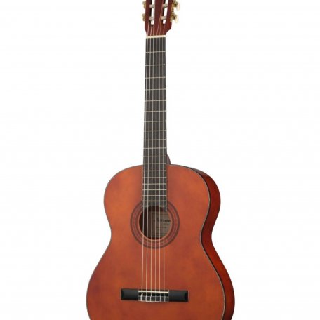 Классическая гитара Naranda CG220-