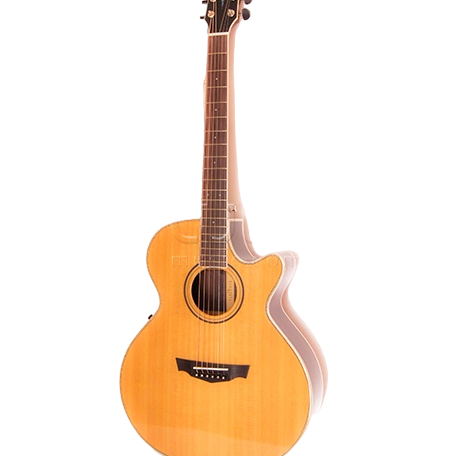 Акустическая гитара Parkwood PW-570 (чехол в комплекте)