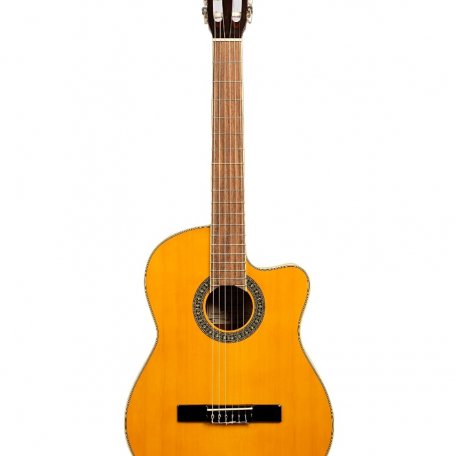 Гитара классическая Sevillia DS-120 CNT