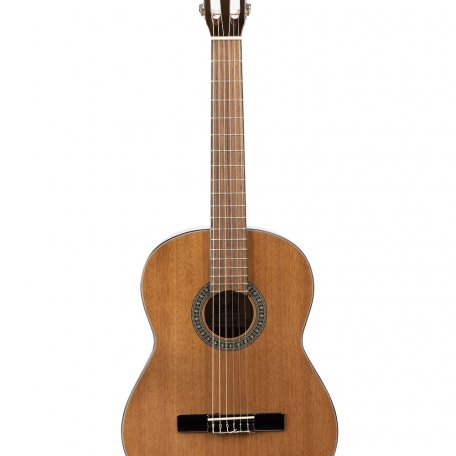Гитара классическая Sevillia DS-100 MNT
