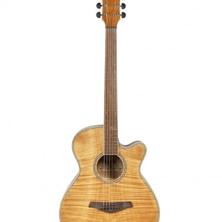 Гитара акустическая Sevillia DS-200 NT