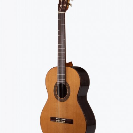 Классическая гитара Prodipe JMFSOLOIST500 Soloist 500
