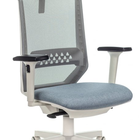 Кресло Бюрократ EXPERT WHITE BLUE (Office chair EXPERT grey seatblue 38-405 mesh/fabric headrest cross plastic plastik белый)