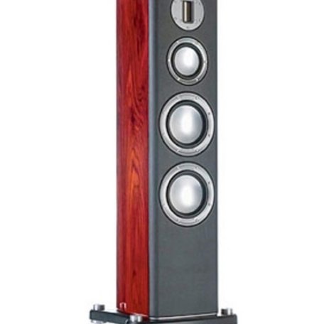 Напольная акустика Monitor Audio Platinum PL200 II rosewood