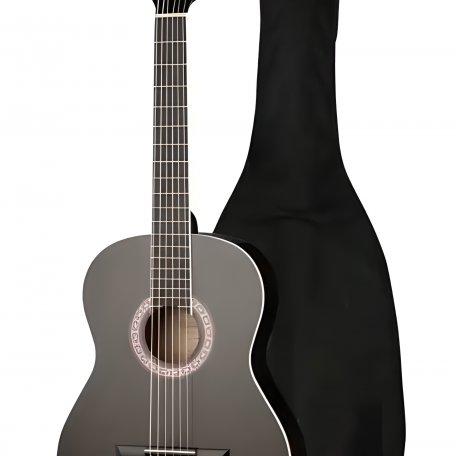 Классическая гитара Homage LC-3900-BK 39