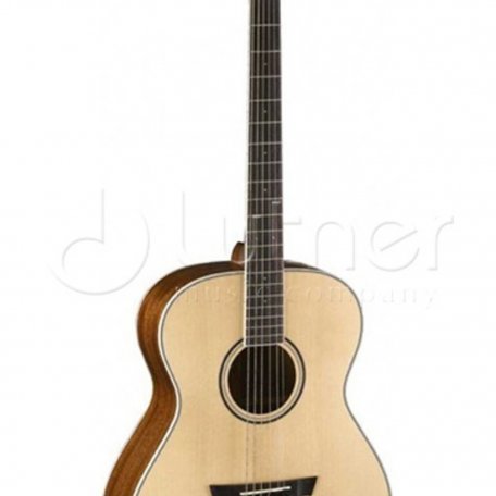 Акустическая гитара Parkwood PW-320-BW-NS (чехол в комплекте)