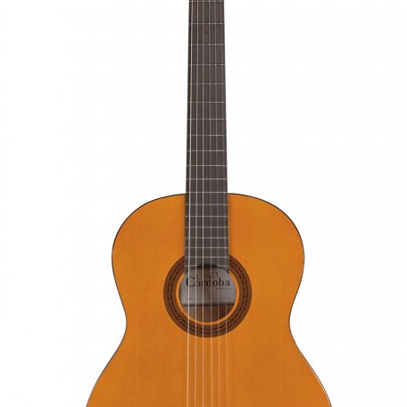 Классическая гитара Cordoba PROTEGE C1M