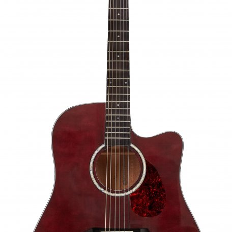 Акустическая гитара NG DM411SC BR (чехол в комплекте)