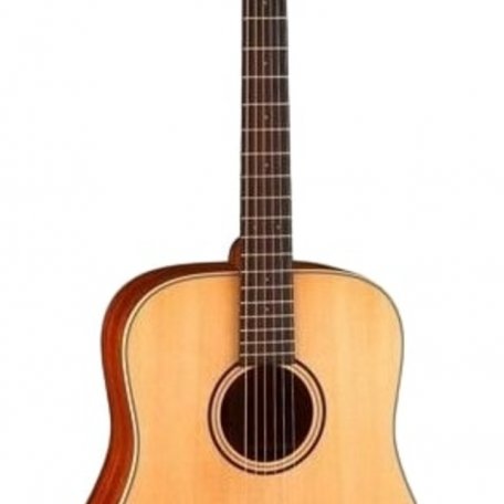 Акустическая гитара Parkwood S21-NS (чехол в комплекте)