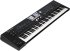 Клавишный инструмент Roland BK-9 фото 3