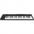 MIDI-клавиатура IK Multimedia iRig Keys 2 фото 1