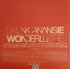 Виниловая пластинка Skunk Anansie – Wonderlustre (180 Gram Colored Vinyl 2LP) фото 8