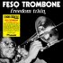 Виниловая пластинка Feso Trombone - Freedom Train (Black Vinyl LP) фото 1