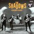 Виниловая пластинка The Shadows - 40 Golden Classics (180 Gram Black Vinyl 2LP) фото 1