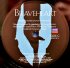 Виниловая пластинка Various Artists, Braveheart (2 LPs) фото 7