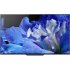 OLED телевизор Sony KD-55AF8BR2 фото 1
