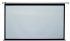 Экран Classic Solution Classic Lyra (4:3) 630x481 (E 600x450/3 MW-S5/W) фото 1