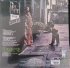 Виниловая пластинка The Doors STRANGE DAYS (50TH ANNIVERSARY) фото 2