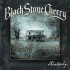 Виниловая пластинка Black Stone Cherry - Kentucky (Limited Edition 180 Gram Coloured Vinyl LP) фото 1
