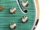 Электрогитара Gibson USA Les Paul Supreme 2015 Seafoam green фото 4