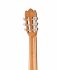Классическая гитара Alhambra 846 Classical Senorita 3C фото 5