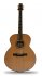 Акустическая гитара Alhambra 5.635 J-3 A B фото 1