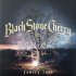 Виниловая пластинка Black Stone Cherry — FAMILY TREE (2LP) фото 1