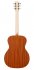 Акустическая гитара Kremona M15-GG Steel String Series Green Globe фото 2