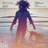 Виниловая пластинка WMADABMG Lenny Kravitz Raise Vibration (Super Deluxe Box Set/2LP+CD/Colored Vinyl) фото 5