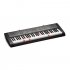Клавишный инструмент Casio LK-120 фото 3