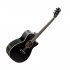 Акустическая гитара Starsun TG220c-p Black фото 2