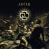 Виниловая пластинка Rammstein - Adieu (V10) (Black Vinyl LP) фото 1