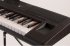 Клавишный инструмент Yamaha NP-V80 Piaggero фото 3