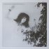 Виниловая пластинка Patti Smith WAVE (180 Gram) фото 3