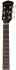 Акустическая гитара Parkwood S21-GT (чехол в комплекте) фото 3