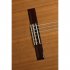 Классическая гитара Alhambra 8.806 Classical Student Iberia Ziricote фото 2