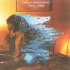 Виниловая пластинка The Alan Parsons Project - The Complete Albums Collection (Half Speed) (Black LP Box Set) фото 11