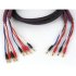 Акустический кабель Tchernov Cable Classic Bi-Wire Mk II SC Bn/Bn 3.10m фото 1