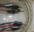Акустический кабель Wire World Luna 7 Biwire Speaker Cable 3.0m фото 1
