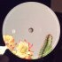 Виниловая пластинка White Denim STIFF (LP+CD) фото 4