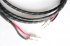 Акустический кабель DH Labs Q-10 Signature speaker cable single wire(2x2), z-plug 3m фото 1