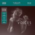 Виниловая пластинка In-Akustik LP Great Voices Vol. IIl #01675081 фото 1